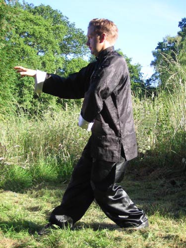 Graham Barlow demonstrating San Ti Shi